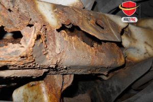 Anti Karat Mobil Suzuki