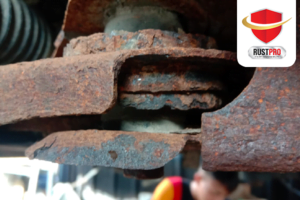 harga anti karat surabaya