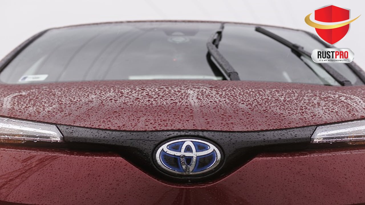 bahaya karat mobil toyota bahaya karat mobil toyota