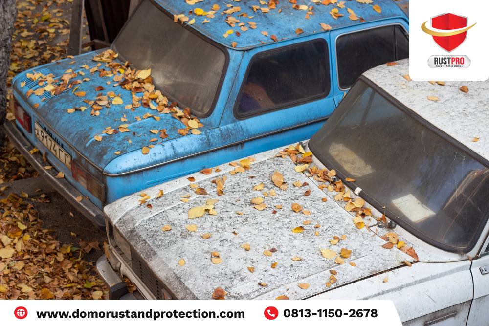 cara merawat mobil yang jarang dipakai